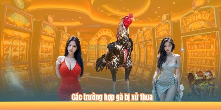 Đá Gà Trực Tiếp Thomo – Những Điều Cần Biết 4 Các trường hợp gà bị xử thua