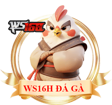 ws168 đá gà